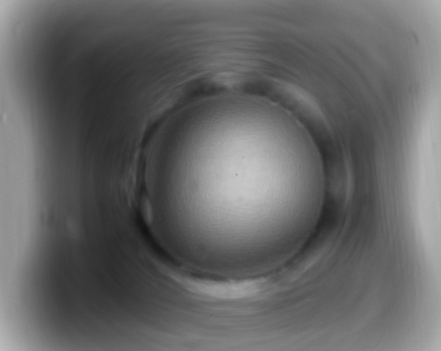 X0000099570036200805231540