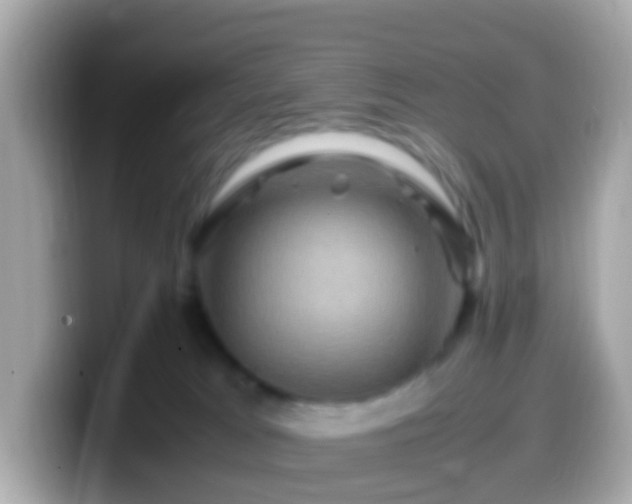 X0000099570037200805231540