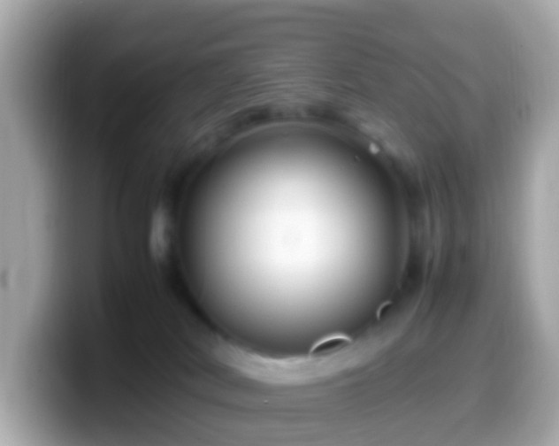 X0000099570038200805231540