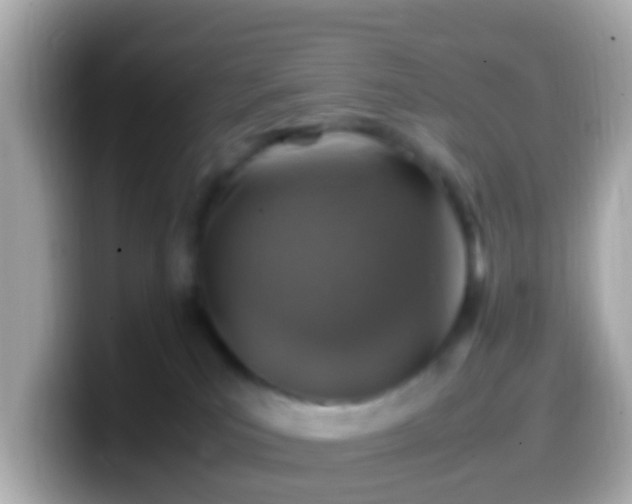 X0000099570039200805231540