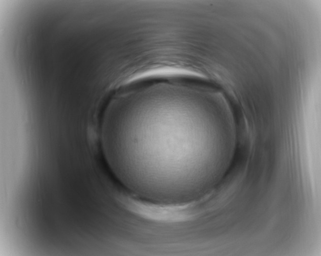 X0000099570040200805231540