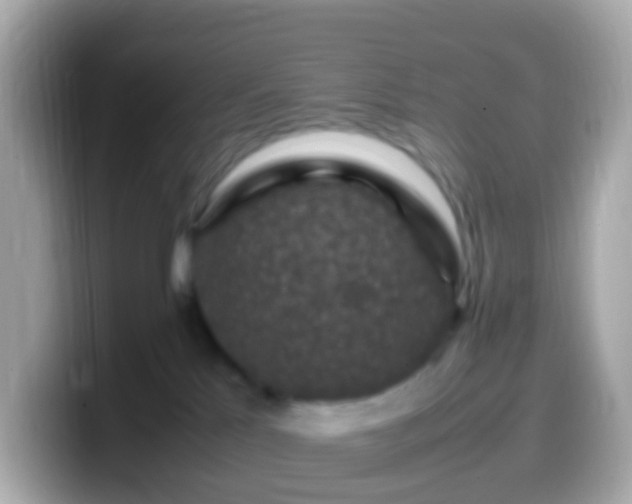 X0000099570041200805231540