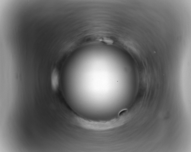 X0000099570042200805231540