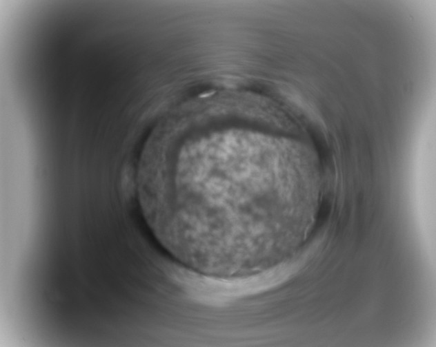 X0000099570043200805231540