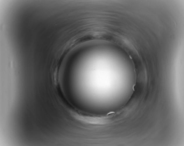X0000099570044200805231540