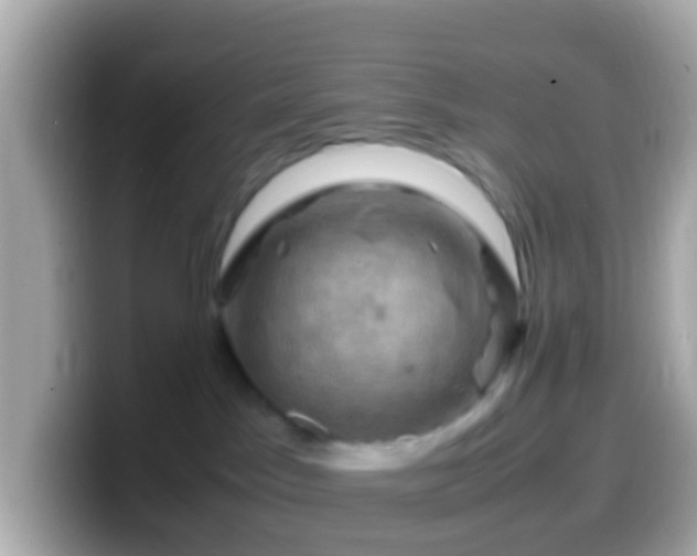 X0000099570045200805231540