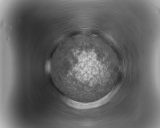 X0000099570047200805231540