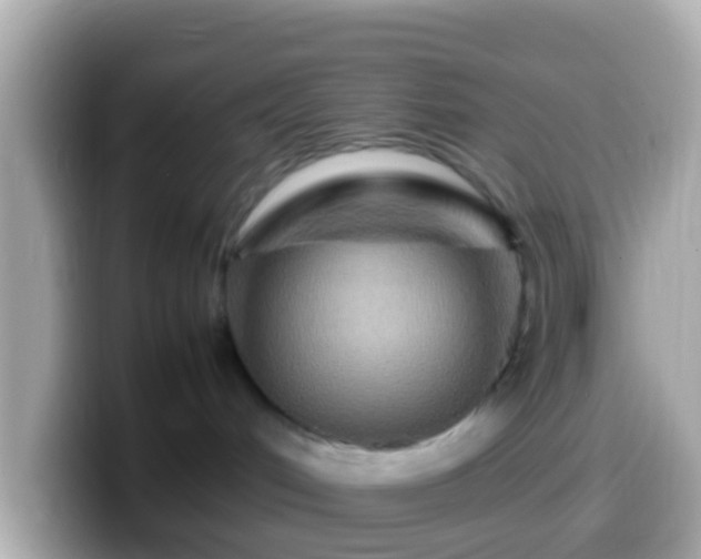 X0000099570048200805231540
