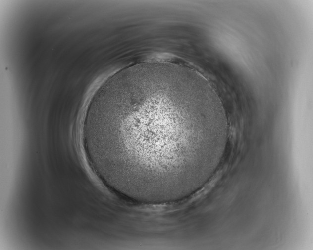 X0000099570049200805231539