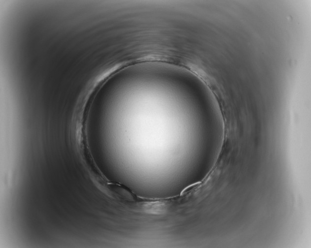 X0000099570050200805231539
