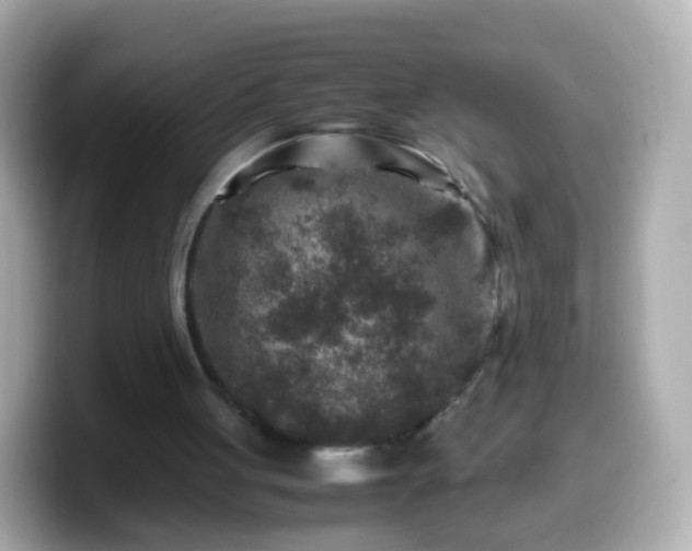 X0000099570051200805231539