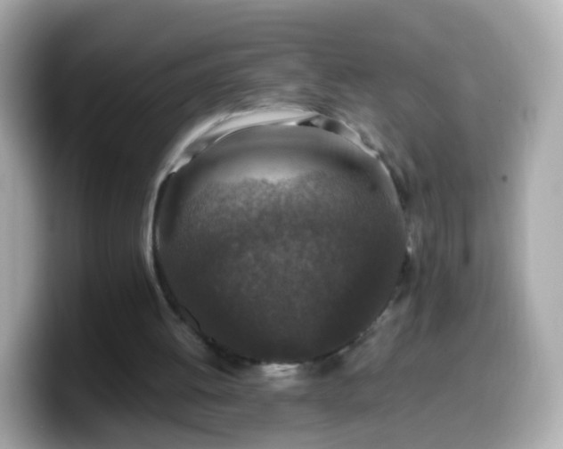 X0000099570052200805231539