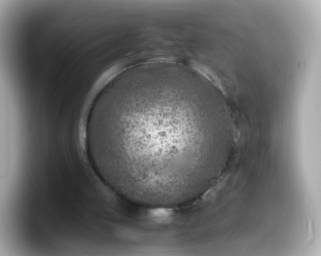 X0000099570053200805231539