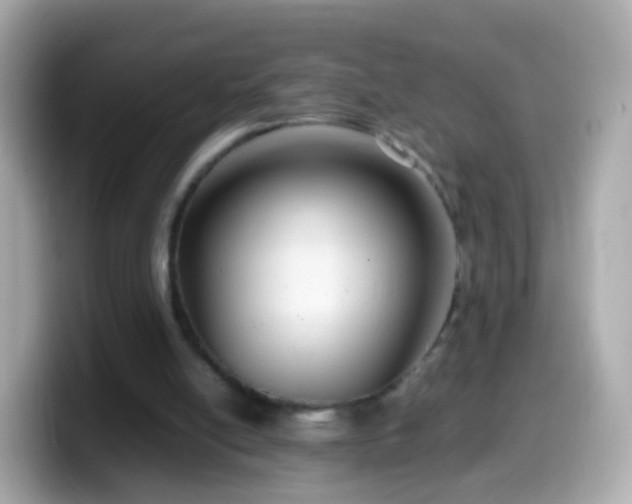 X0000099570054200805231539