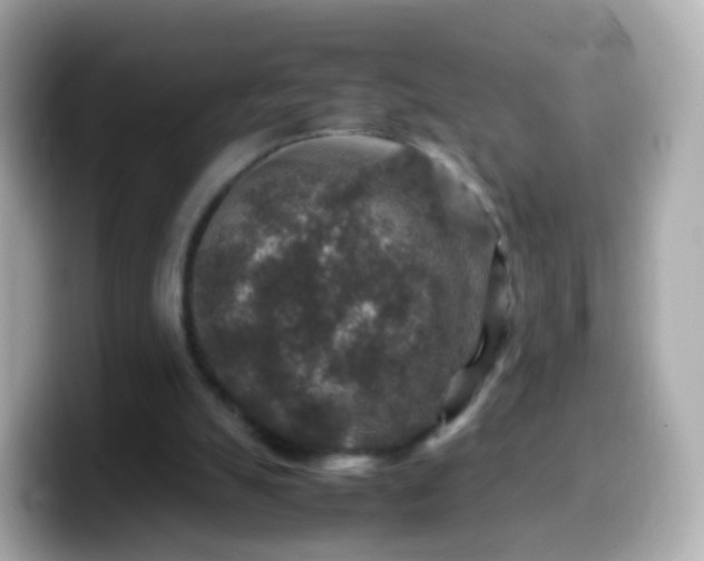 X0000099570055200805231539
