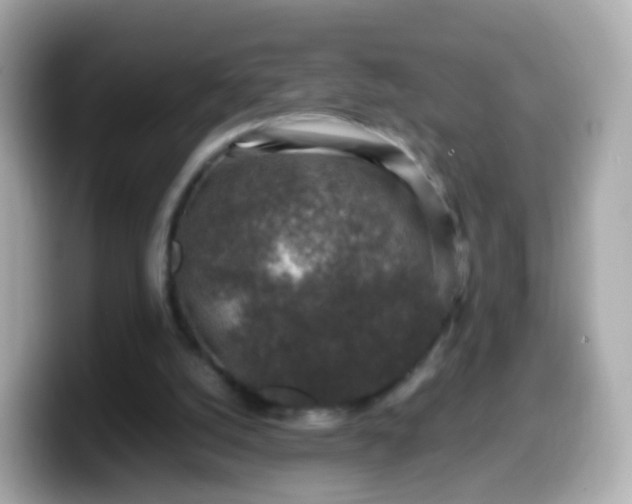 X0000099570056200805231539