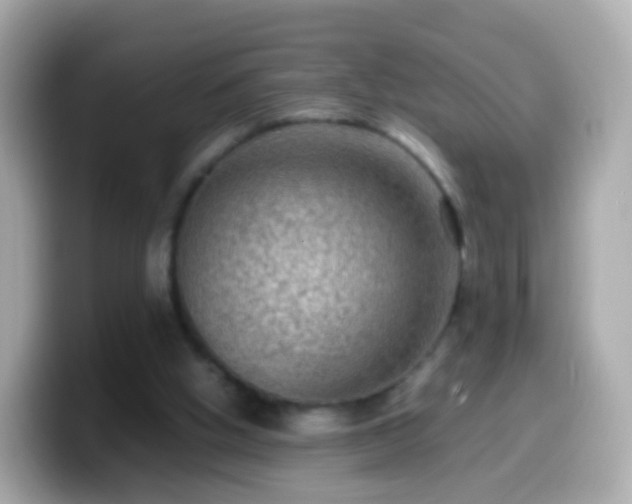 X0000099570058200805231539