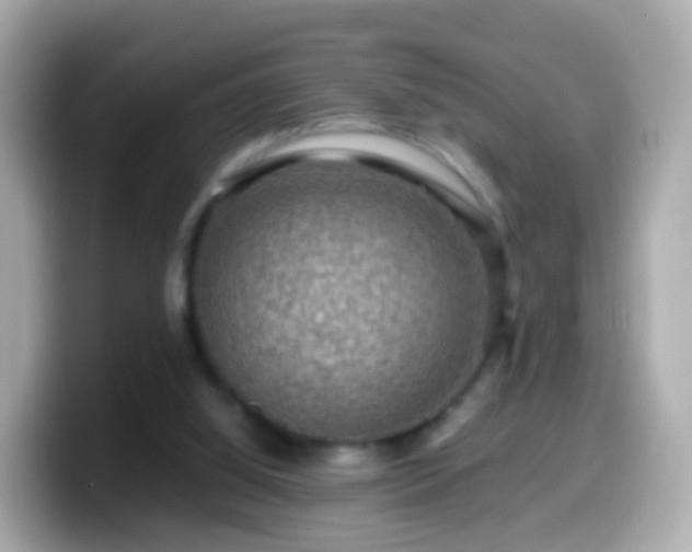 X0000099570060200805231539