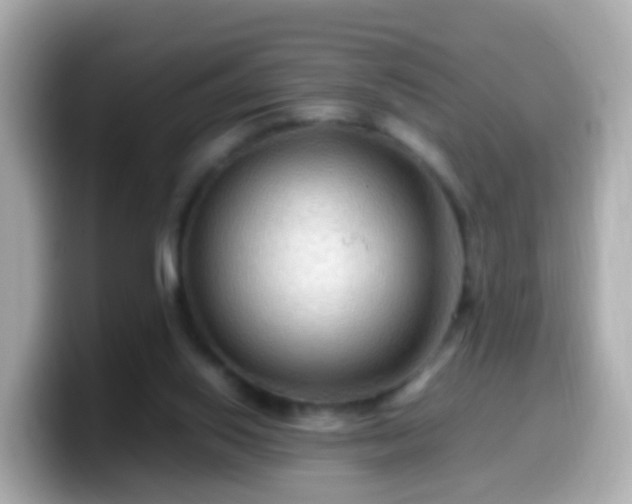 X0000099570062200805231539