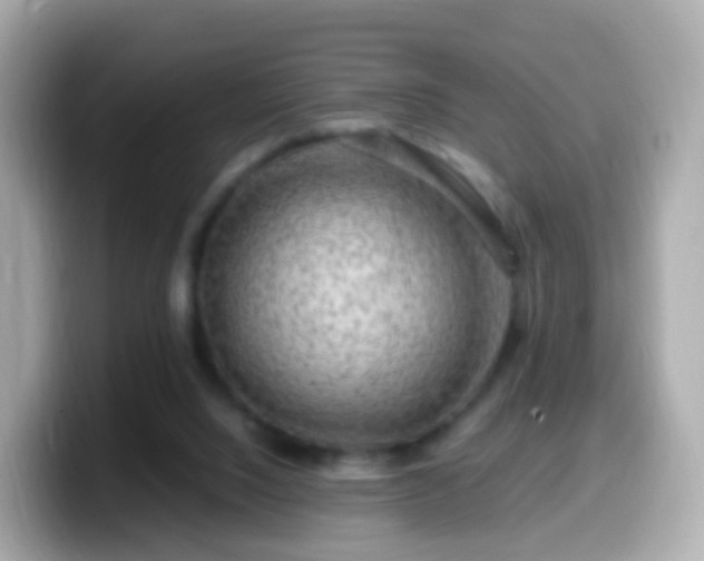 X0000099570064200805231539