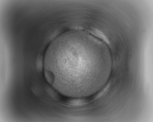 X0000099570065200805231539