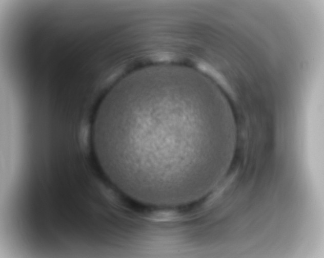 X0000099570066200805231539