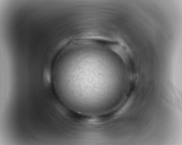 X0000099570068200805231539
