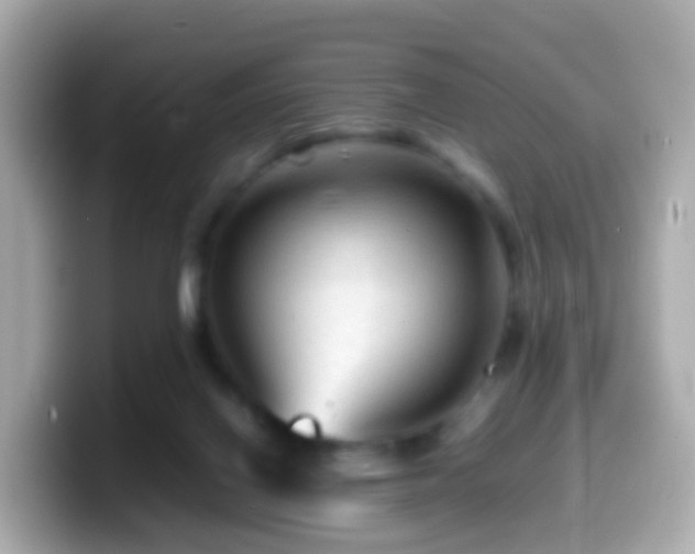 X0000099570070200805231539