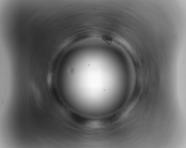 X0000099570071200805231539