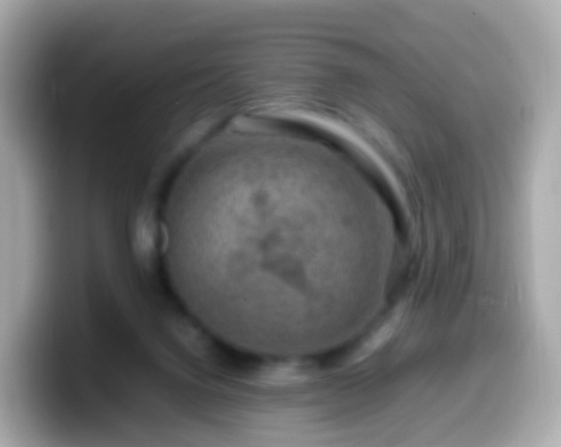 X0000099570072200805231539