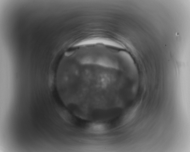X0000099570073200805231539