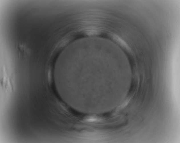 X0000099570074200805231539