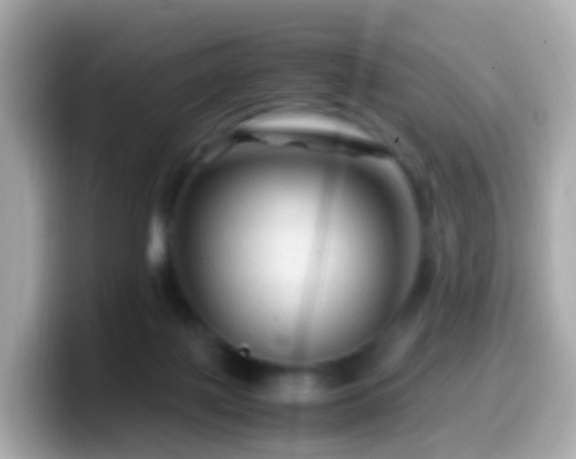X0000099570075200805231539