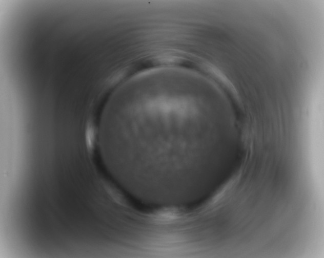 X0000099570076200805231539