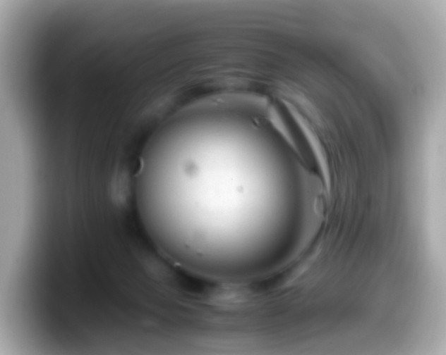 X0000099570077200805231539