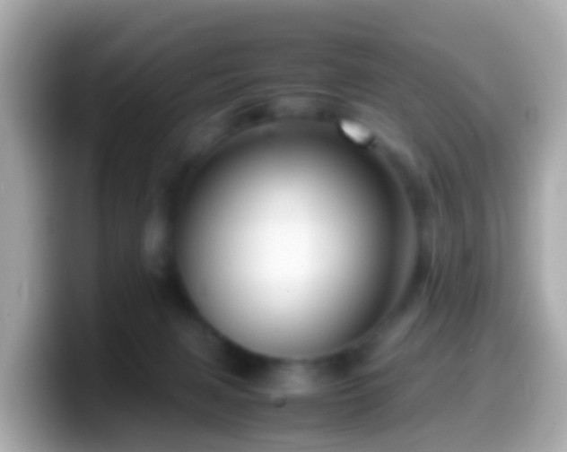 X0000099570079200805231539