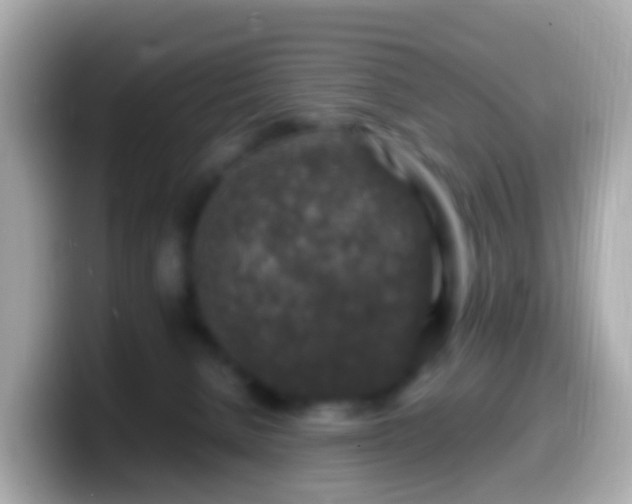 X0000099570080200805231539