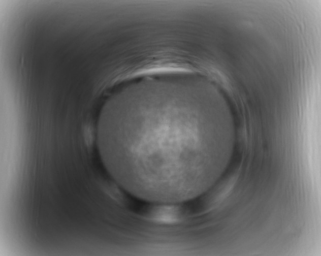 X0000099570081200805231539