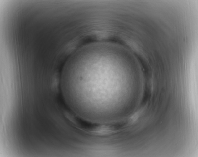 X0000099570082200805231539