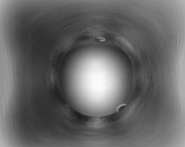 X0000099570083200805231539