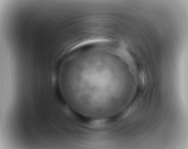 X0000099570084200805231539