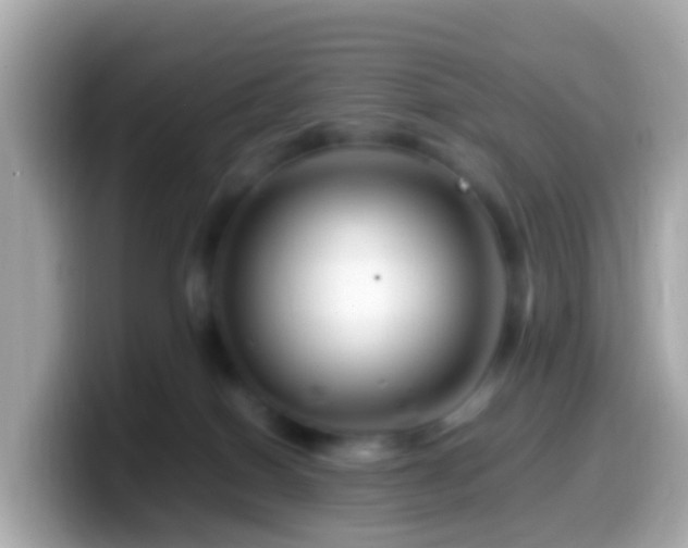 X0000099570086200805231539