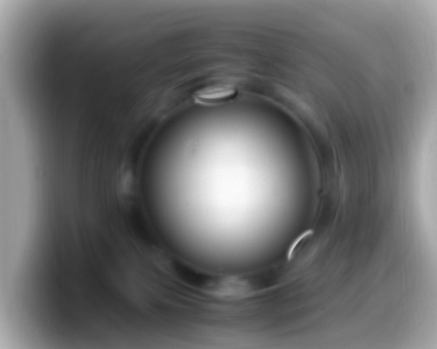 X0000099570087200805231539