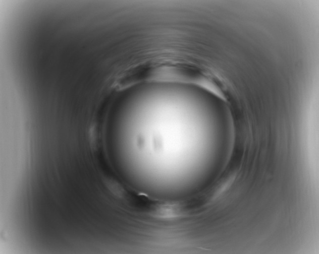 X0000099570088200805231539