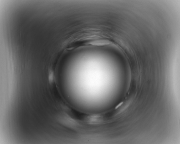 X0000099570089200805231539