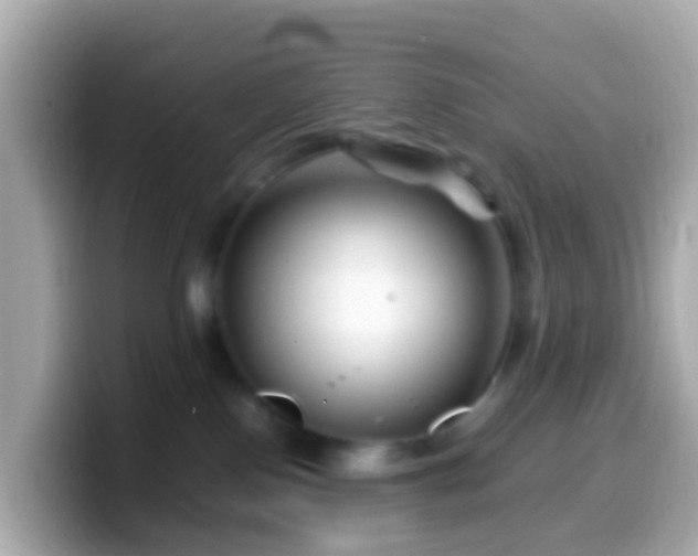 X0000099570090200805231539