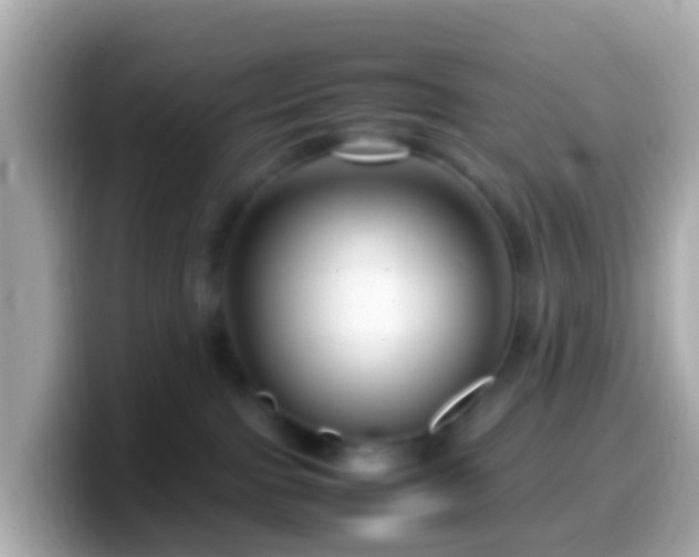 X0000099570091200805231539