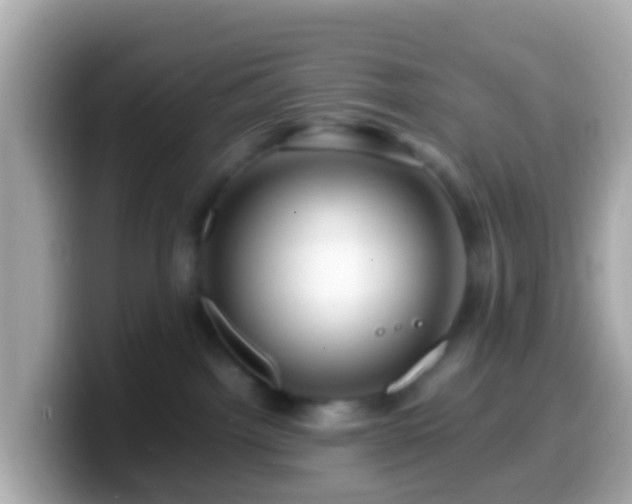 X0000099570092200805231539