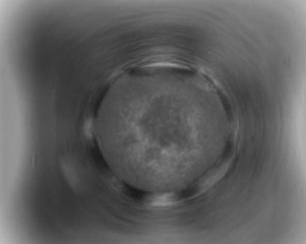 X0000099570093200805231539