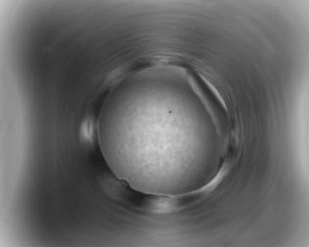 X0000099570094200805231539